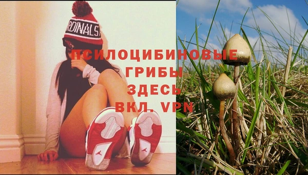 метамфетамин Алексеевка