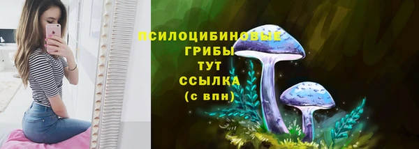 мет Алексин