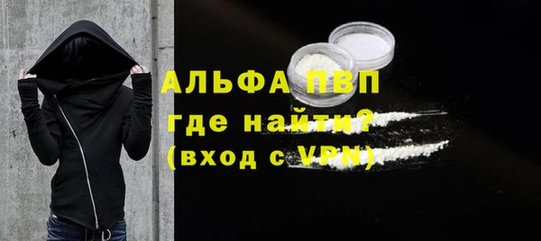 мет Алексин