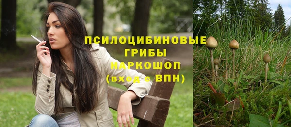 метамфетамин Алексеевка