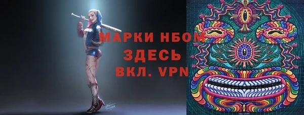 мет Алексин
