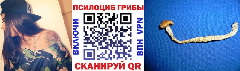 мега ссылка  продажа наркотиков  Нея  Галлюциногенные грибы MAGIC MUSHROOMS 